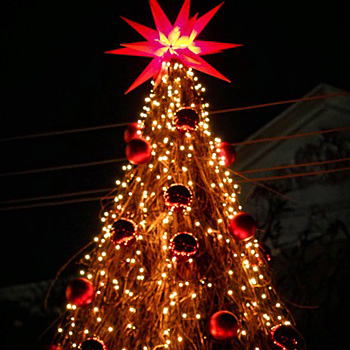 Christmas market 2017: Luminous christmas tree