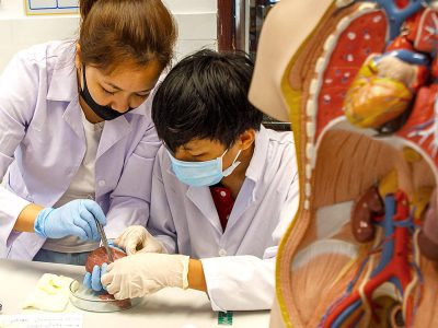 Herz- und Nieren Präparation im Biologieunterricht IGS HCMC