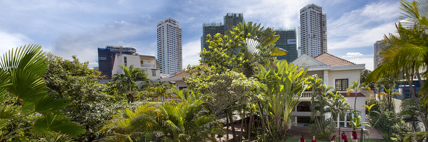 Einschulung: bunte Schultüten hängen am Baum